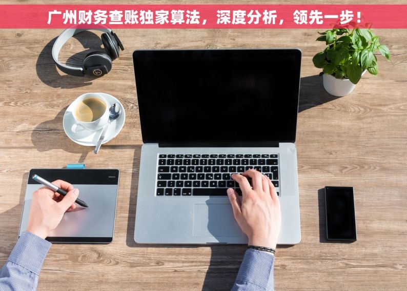 广州财务查账独家算法，深度分析，领先一步！