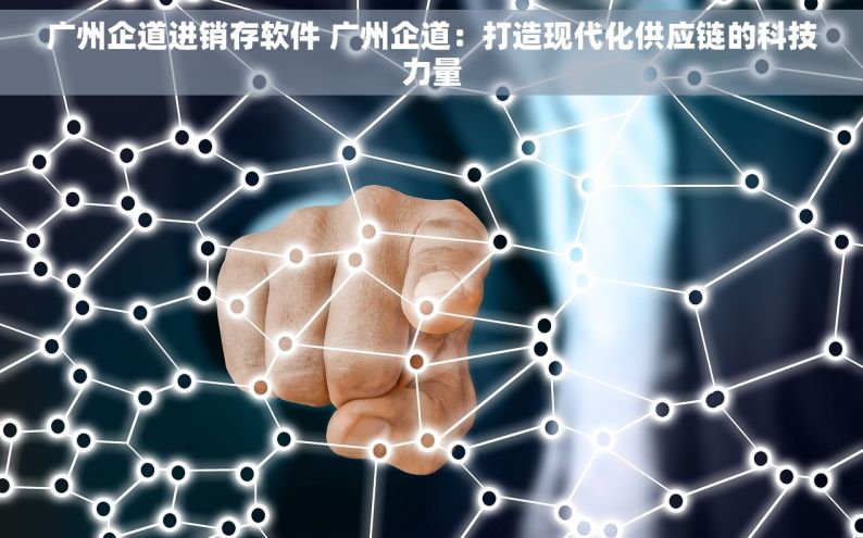 广州企道进销存软件 广州企道：打造现代化供应链的科技力量