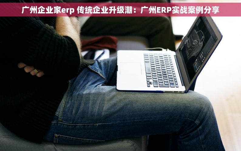广州企业家erp 传统企业升级潮：广州ERP实战案例分享