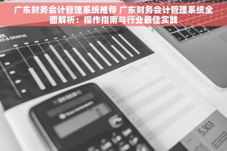 广东财务会计管理系统推荐 广东财务会计管理系统全面解析：操作指南与行业最佳实践