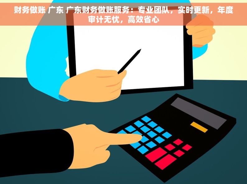 财务做账 广东 广东财务做账服务：专业团队，实时更新，年度审计无忧，高效省心