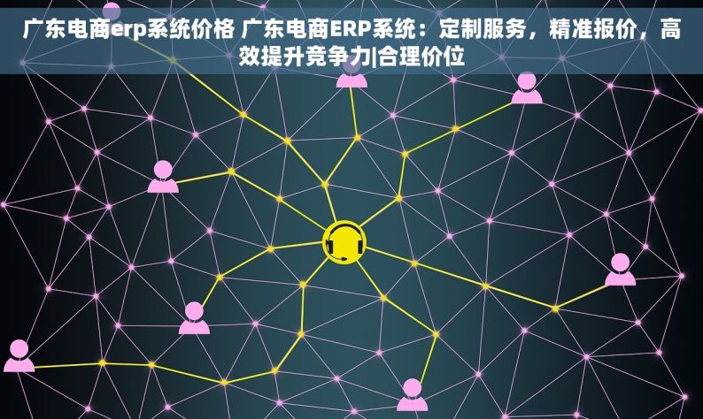 广东电商erp系统价格 广东电商ERP系统：定制服务，精准报价，高效提升竞争力|合理价位