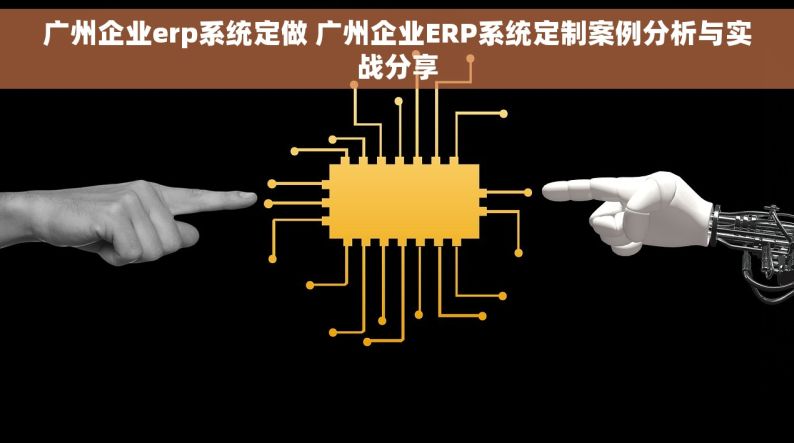 广州企业erp系统定做 广州企业ERP系统定制案例分析与实战分享