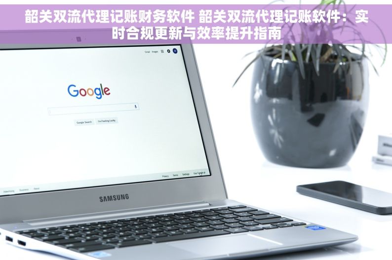韶关双流代理记账财务软件 韶关双流代理记账软件：实时合规更新与效率提升指南