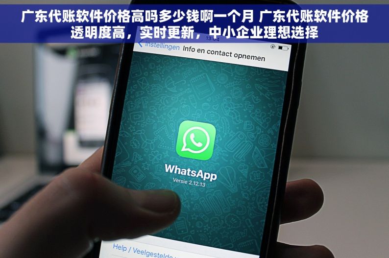 广东代账软件价格高吗多少钱啊一个月 广东代账软件价格透明度高，实时更新，中小企业理想选择