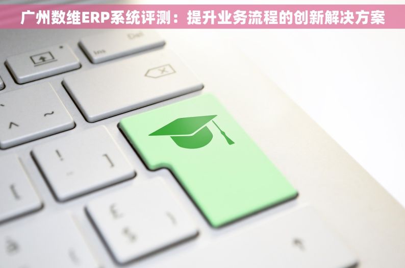 广州数维ERP系统评测：提升业务流程的创新解决方案