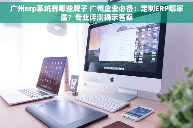 广州erp系统有哪些牌子 广州企业必备：定制ERP哪家强？专业评测揭示答案