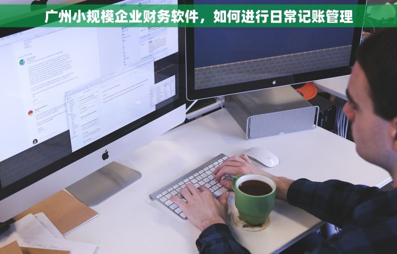 广州小规模企业财务软件，如何进行日常记账管理