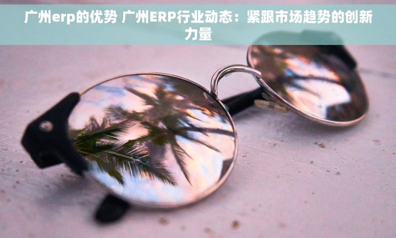 广州erp的优势 广州ERP行业动态：紧跟市场趋势的创新力量