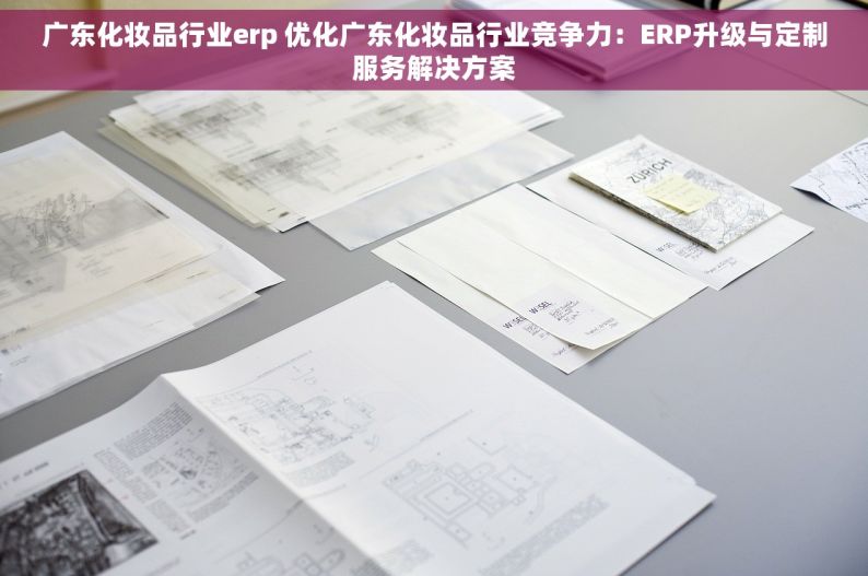 广东化妆品行业erp 优化广东化妆品行业竞争力：ERP升级与定制服务解决方案