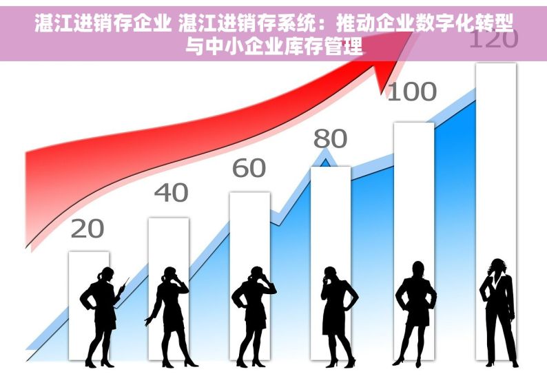 湛江进销存企业 湛江进销存系统：推动企业数字化转型与中小企业库存管理