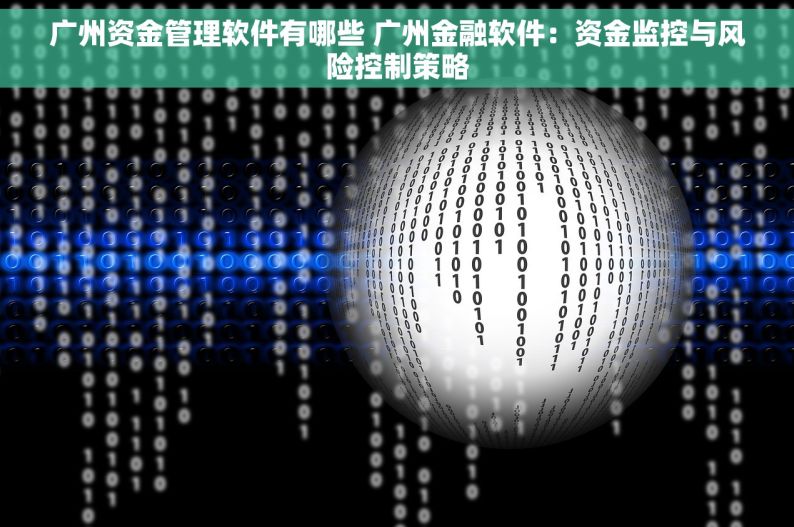 广州资金管理软件有哪些 广州金融软件：资金监控与风险控制策略