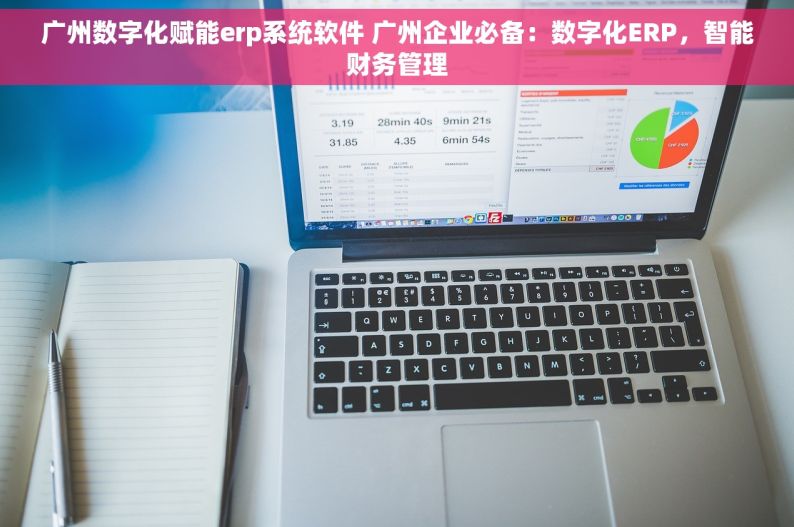 广州数字化赋能erp系统软件 广州企业必备：数字化ERP，智能财务管理