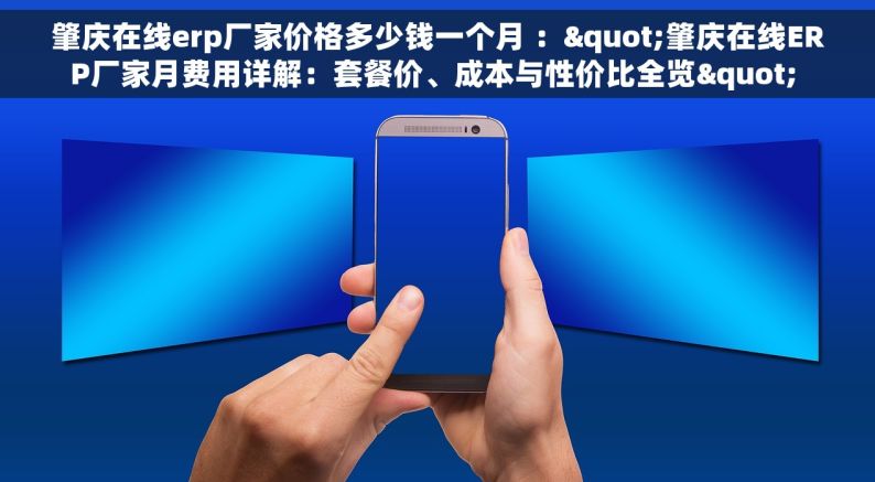 肇庆在线erp厂家价格多少钱一个月 ："肇庆在线ERP厂家月费用详解：套餐价、成本与性价比全览" 