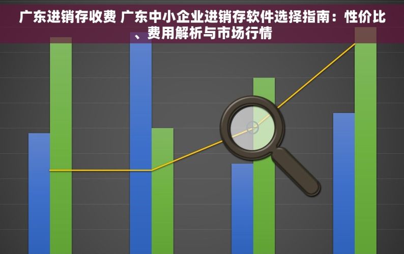 广东进销存收费 广东中小企业进销存软件选择指南：性价比、费用解析与市场行情