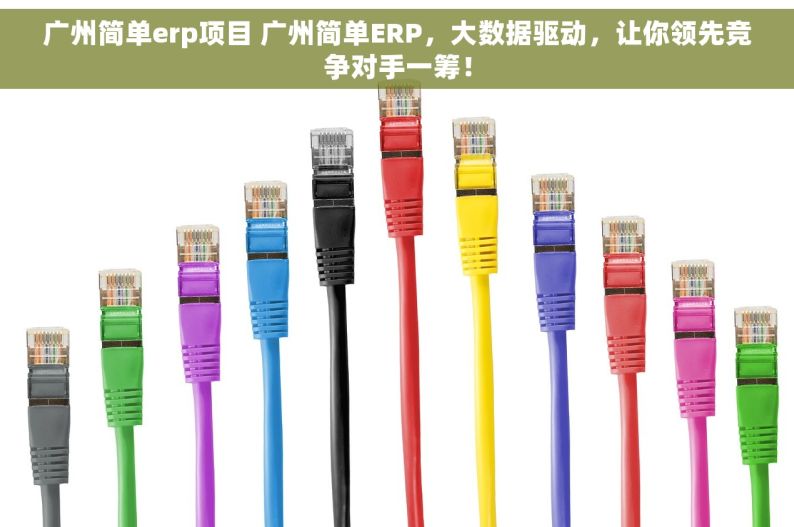 广州简单erp项目 广州简单ERP，大数据驱动，让你领先竞争对手一筹！