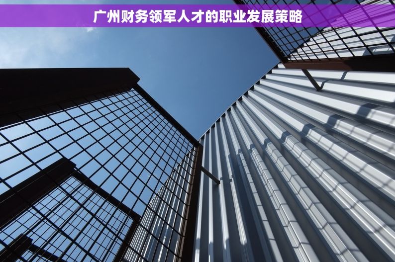 广州财务领军人才的职业发展策略