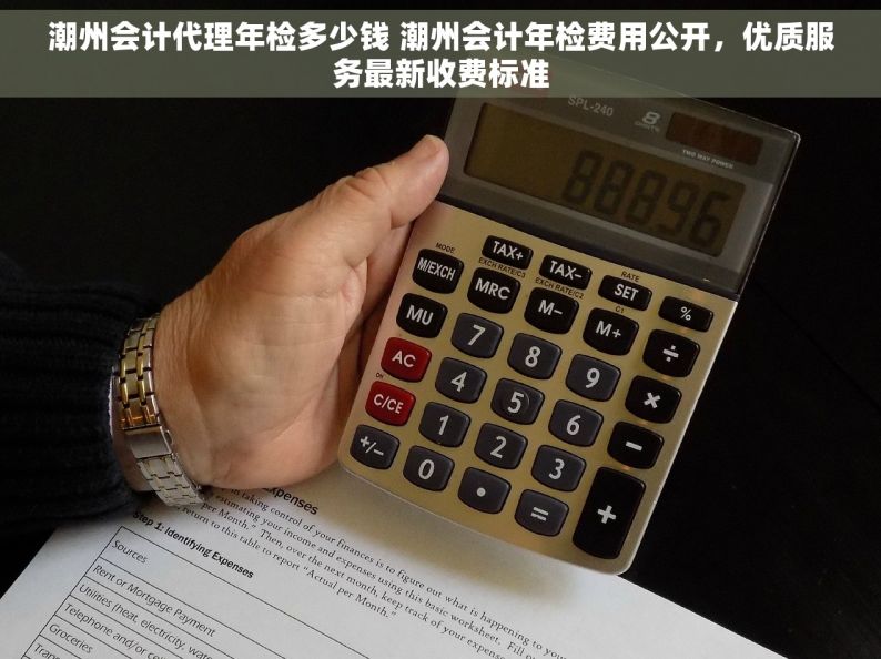 潮州会计代理年检多少钱 潮州会计年检费用公开，优质服务最新收费标准
