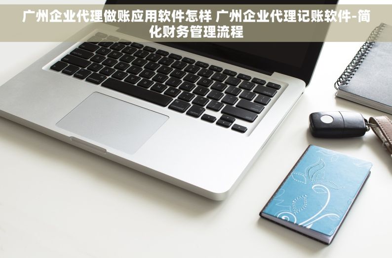 广州企业代理做账应用软件怎样 广州企业代理记账软件-简化财务管理流程
