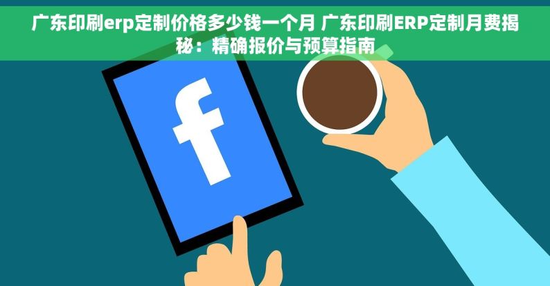 广东印刷erp定制价格多少钱一个月 广东印刷ERP定制月费揭秘：精确报价与预算指南