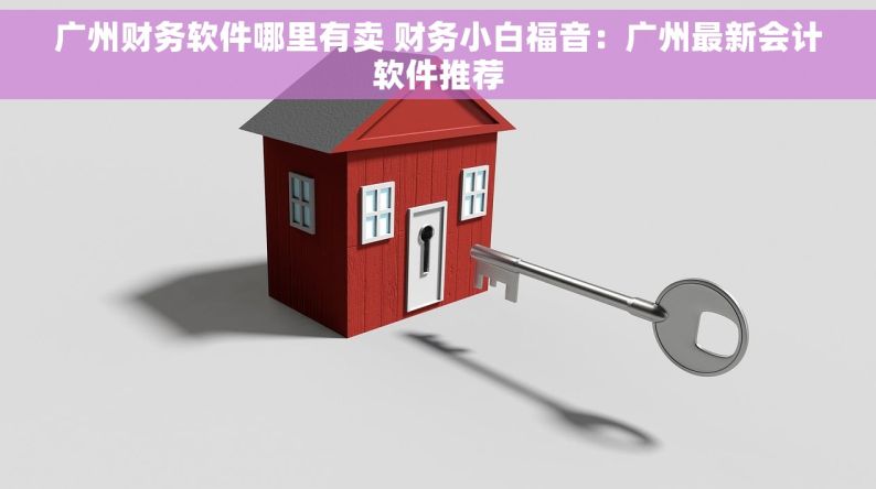 广州财务软件哪里有卖 财务小白福音：广州最新会计软件推荐