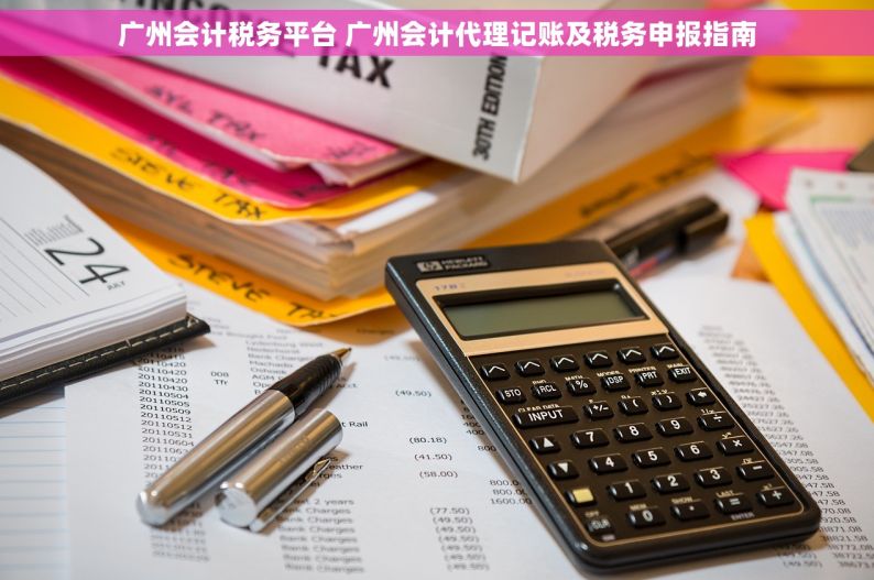 广州会计税务平台 广州会计代理记账及税务申报指南