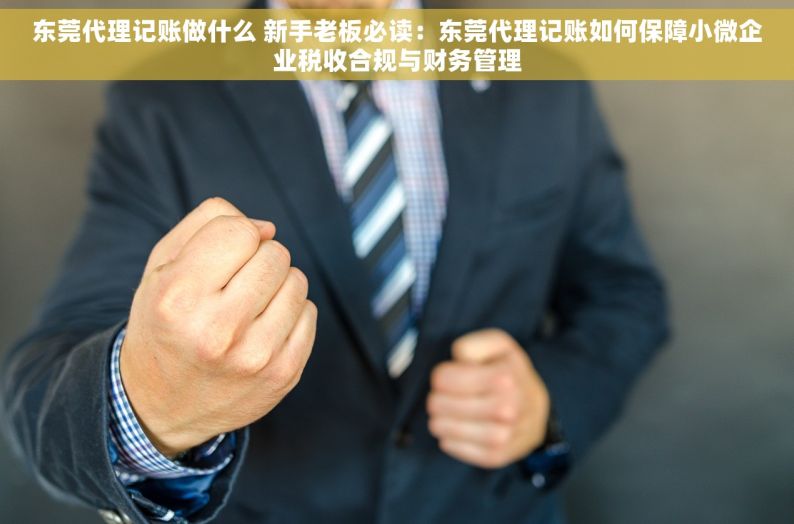 东莞代理记账做什么 新手老板必读：东莞代理记账如何保障小微企业税收合规与财务管理