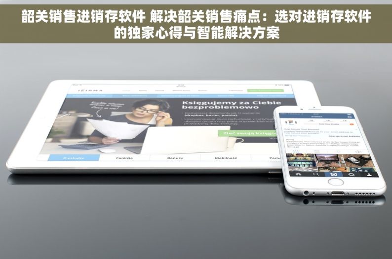 韶关销售进销存软件 解决韶关销售痛点：选对进销存软件的独家心得与智能解决方案