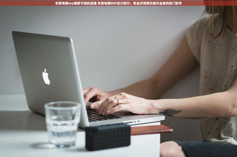 东莞电商erp哪家不错的店铺 东莞电商ERP实力排行：专业评测揭示提升业绩的热门软件