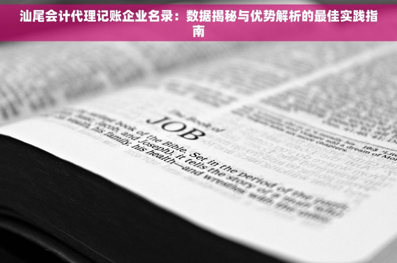 汕尾会计代理记账企业名录：数据揭秘与优势解析的最佳实践指南