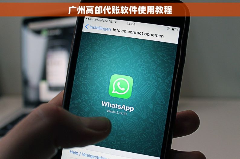 广州高邮代账软件使用教程