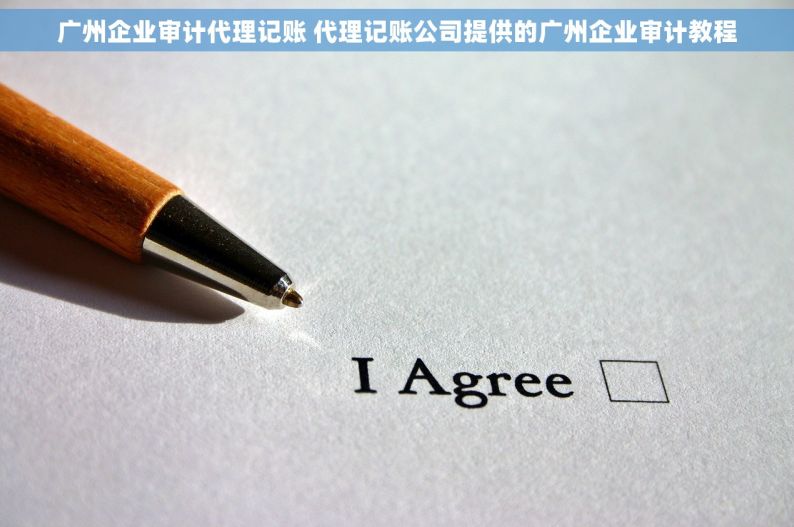 广州企业审计代理记账 代理记账公司提供的广州企业审计教程