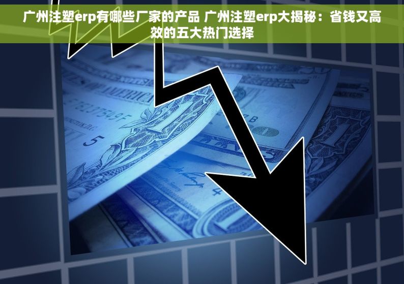 广州注塑erp有哪些厂家的产品 广州注塑erp大揭秘：省钱又高效的五大热门选择