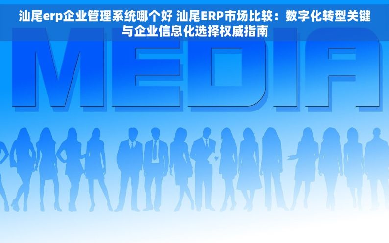 汕尾erp企业管理系统哪个好 汕尾ERP市场比较：数字化转型关键与企业信息化选择权威指南