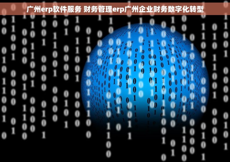 广州erp软件服务 财务管理erp广州企业财务数字化转型