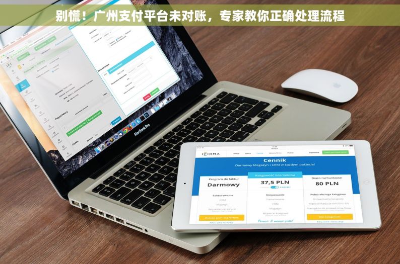 别慌！广州支付平台未对账，专家教你正确处理流程