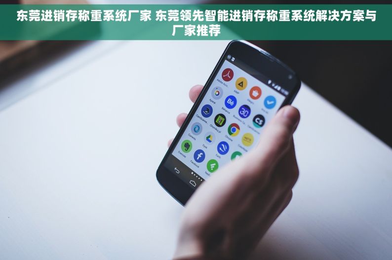 东莞进销存称重系统厂家 东莞领先智能进销存称重系统解决方案与厂家推荐