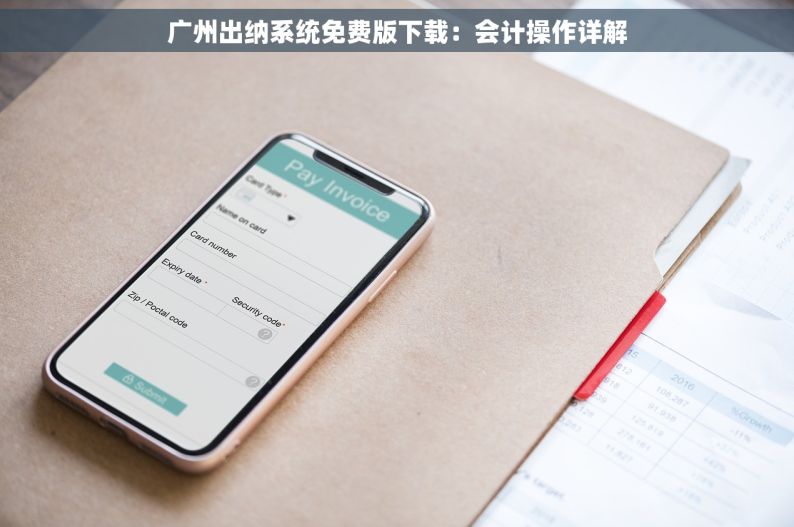 广州出纳系统免费版下载：会计操作详解