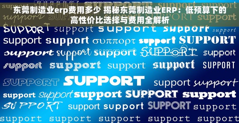 东莞制造业erp费用多少 揭秘东莞制造业ERP：低预算下的高性价比选择与费用全解析