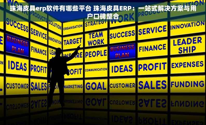 珠海皮具erp软件有哪些平台 珠海皮具ERP：一站式解决方案与用户口碑整合