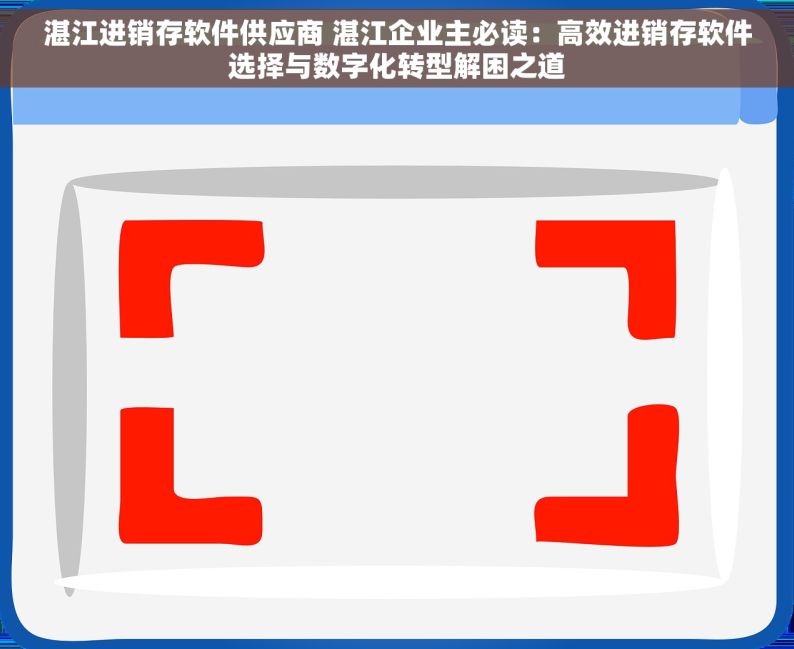 湛江进销存软件供应商 湛江企业主必读：高效进销存软件选择与数字化转型解困之道