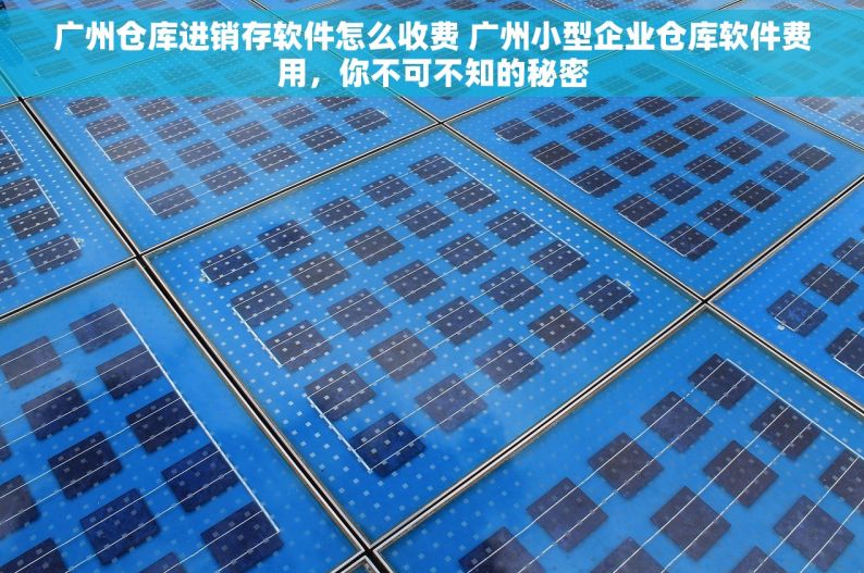 广州仓库进销存软件怎么收费 广州小型企业仓库软件费用，你不可不知的秘密