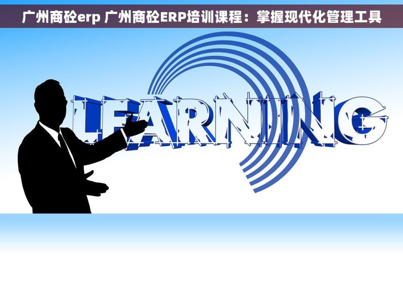 广州商砼erp 广州商砼ERP培训课程：掌握现代化管理工具