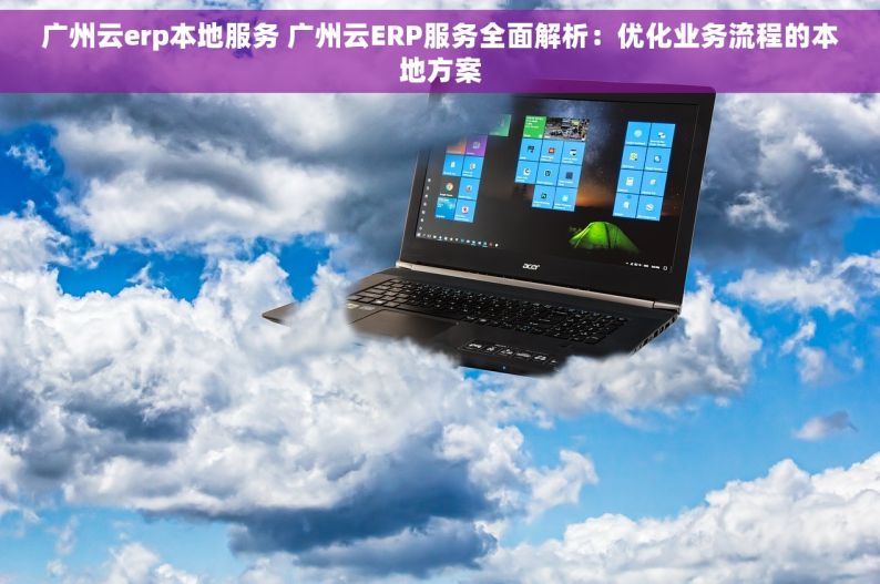 广州云erp本地服务 广州云ERP服务全面解析：优化业务流程的本地方案