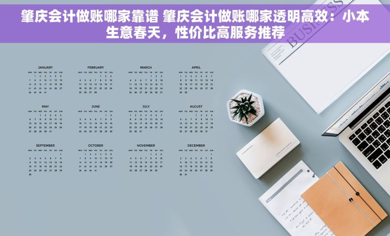 肇庆会计做账哪家靠谱 肇庆会计做账哪家透明高效：小本生意春天，性价比高服务推荐