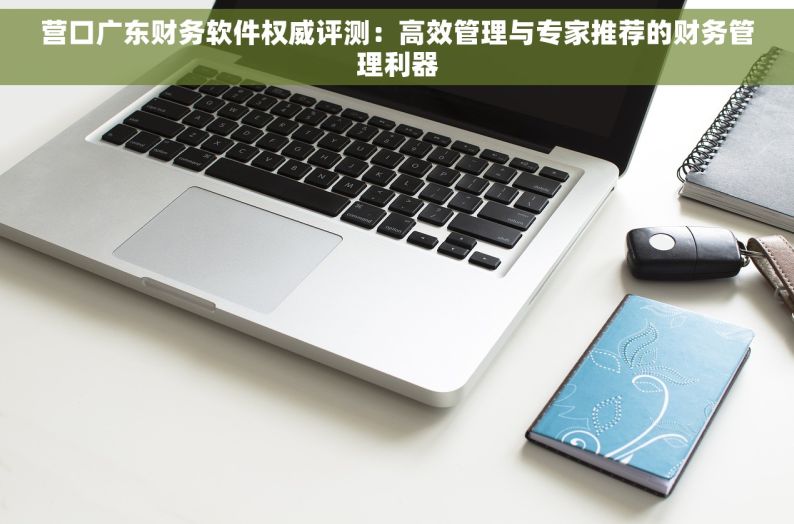 营口广东财务软件权威评测：高效管理与专家推荐的财务管理利器