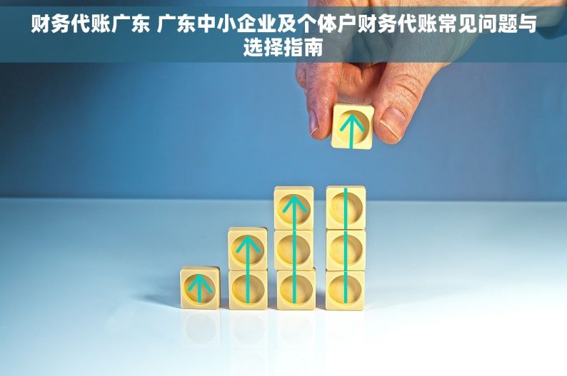 财务代账广东 广东中小企业及个体户财务代账常见问题与选择指南