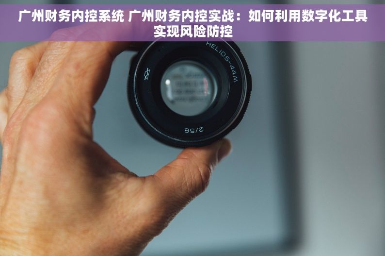 广州财务内控系统 广州财务内控实战：如何利用数字化工具实现风险防控