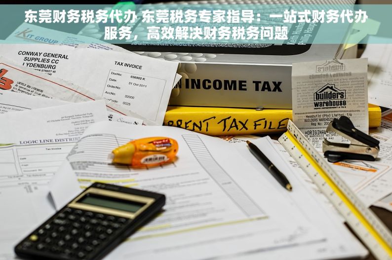 东莞财务税务代办 东莞税务专家指导：一站式财务代办服务，高效解决财务税务问题