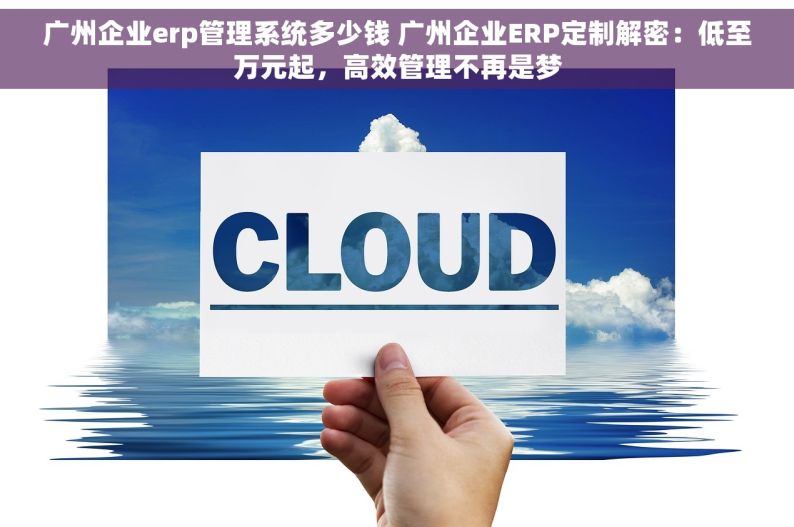 广州企业erp管理系统多少钱 广州企业ERP定制解密：低至万元起，高效管理不再是梦